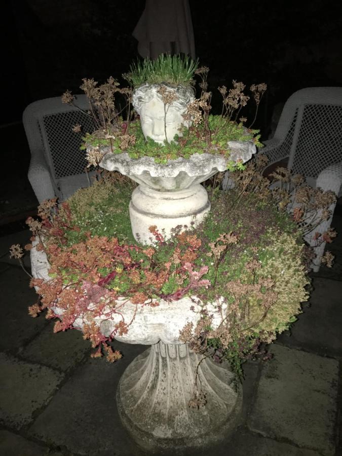 Little Redlands B&B リンカーン エクステリア 写真